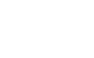 SoulQ