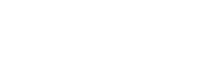 Zona Sul